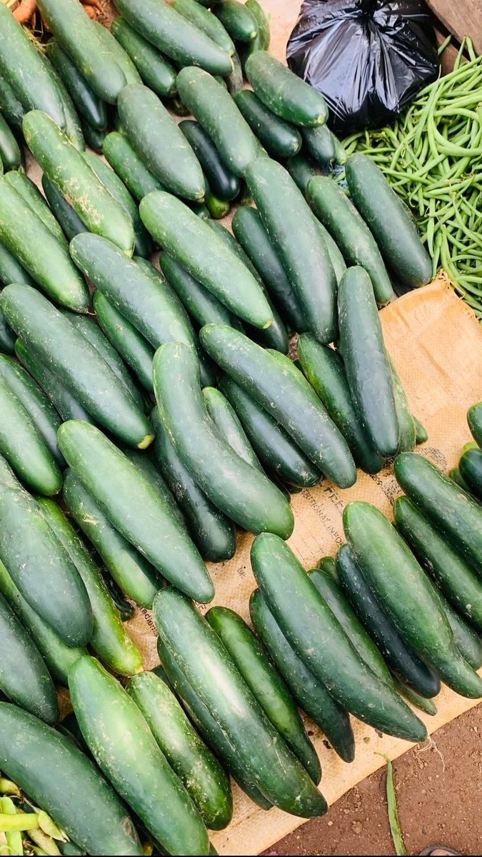 Plateau State is blessed with farm produce.

#BeautifulPlateau #PlateauPotato #BARCFarms