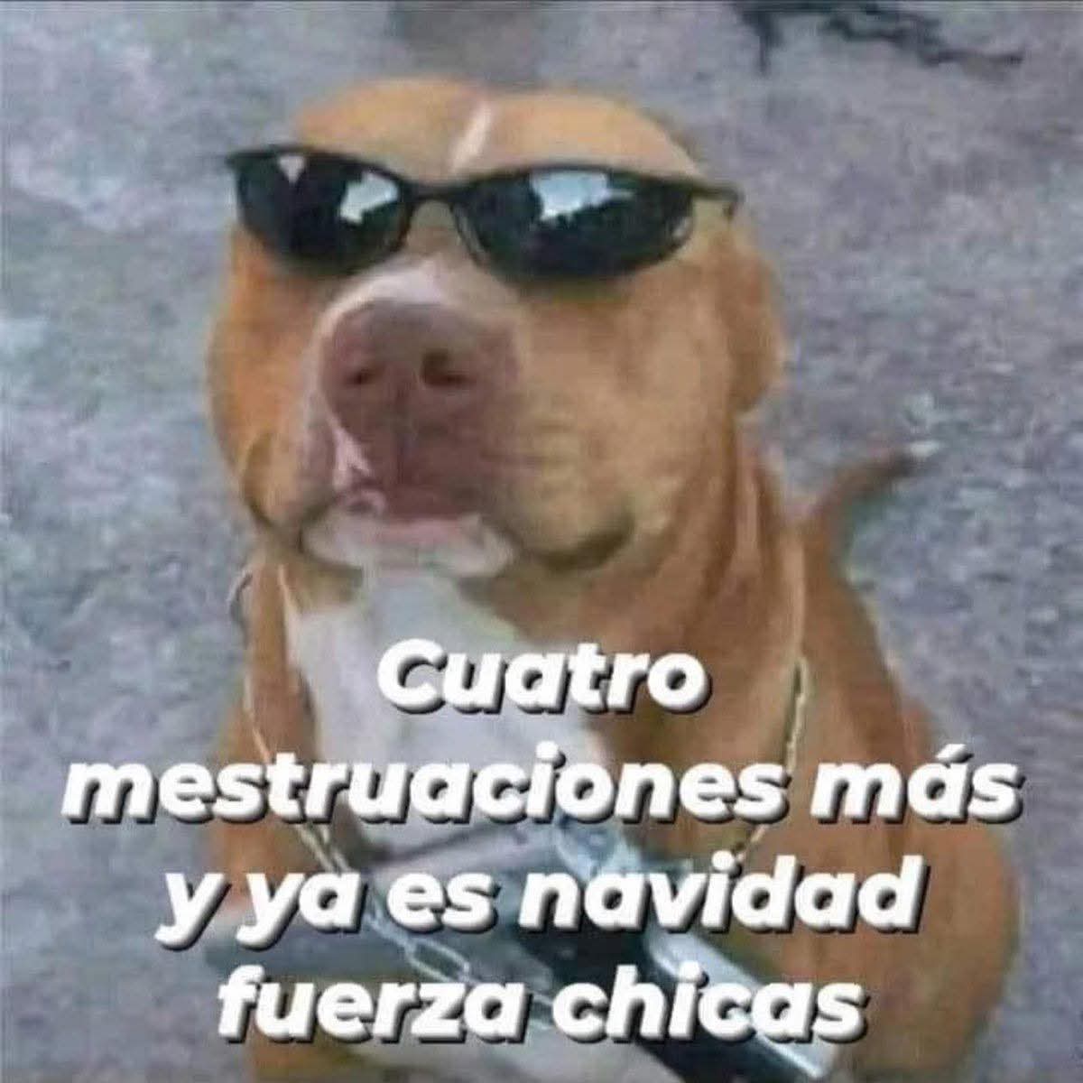 En Júpiter (@en_jupiter_) on Twitter photo 
