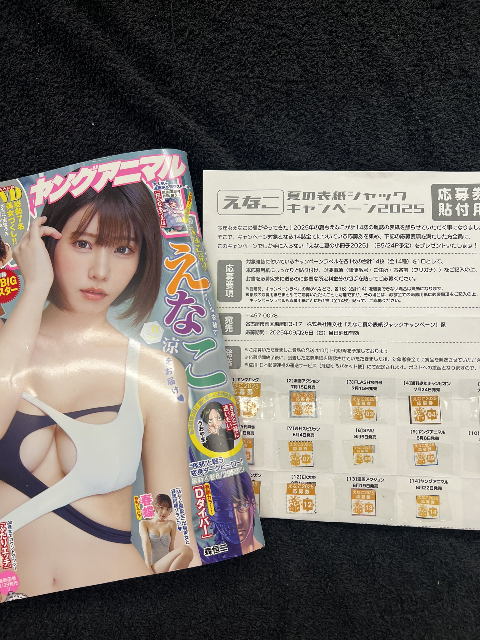 【送料無料】えなこ 夏の表紙ジャックキャンペーン 2021 えなこ1st写真集等 えなこ夏の表紙ジャックキャンペーン」の特別冊子の撮影に行っ