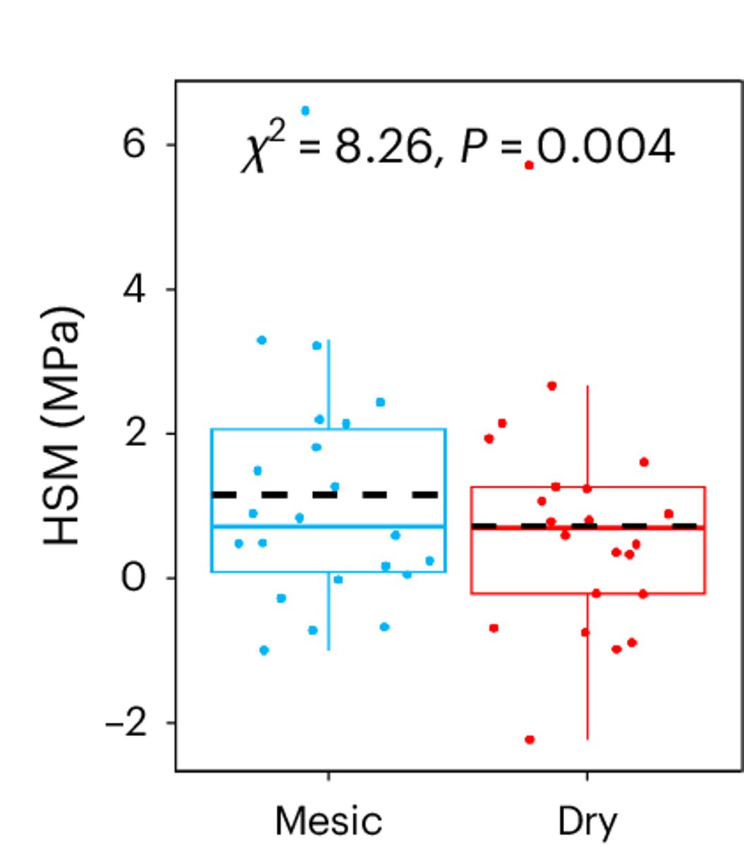 José M. Torres-Ruiz tweet media