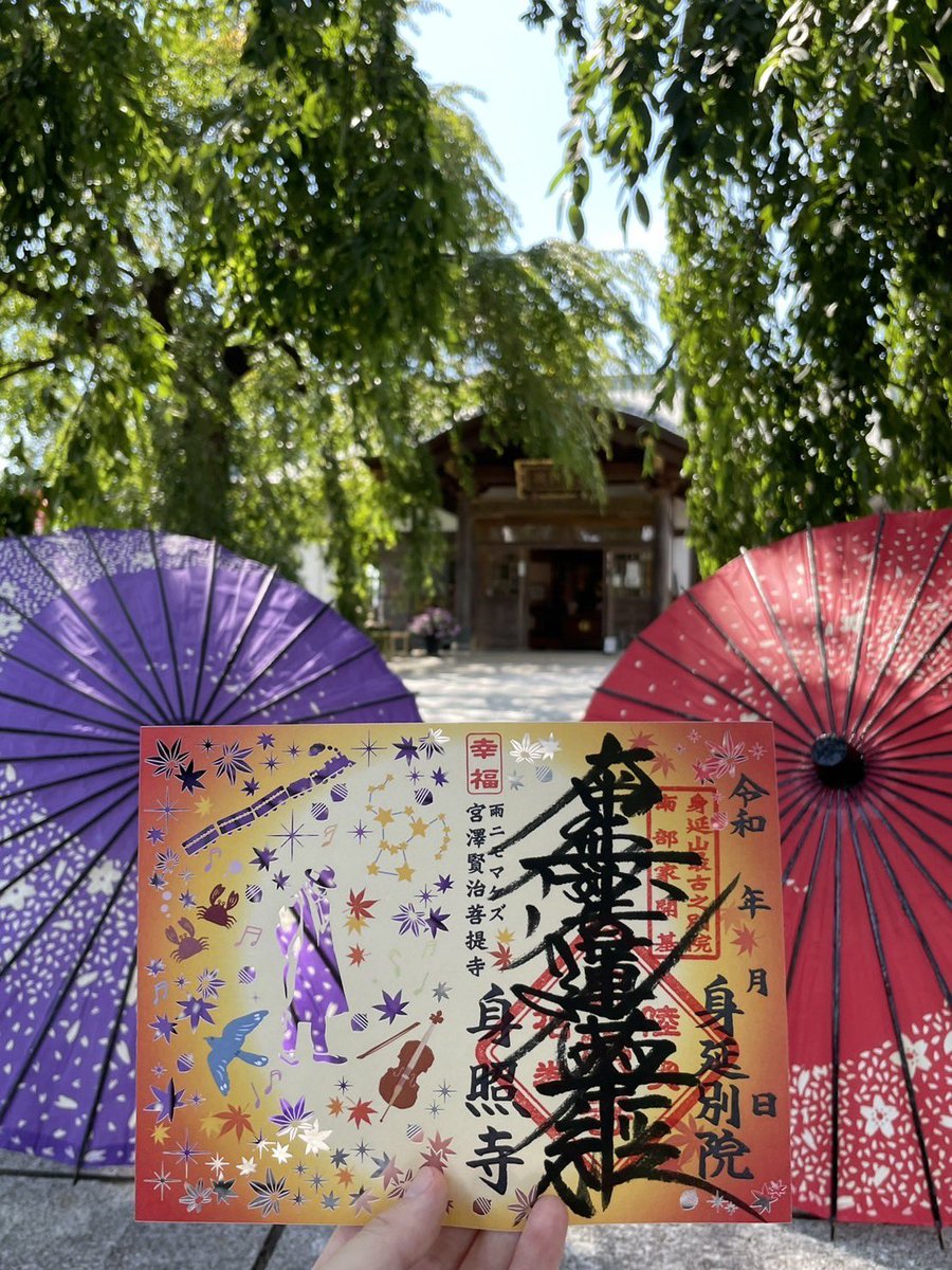 桜ページ 桜ページ 桜ページ 桜ページ 桜セット 桜 さま専用 ◇桜❀◇ Buy ZX Flux '