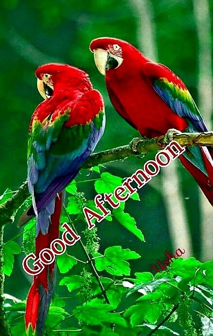 queen4rt's tweet image. GOOD AFTERNOON 💚
HAVE A GOOD DAY 💯💞