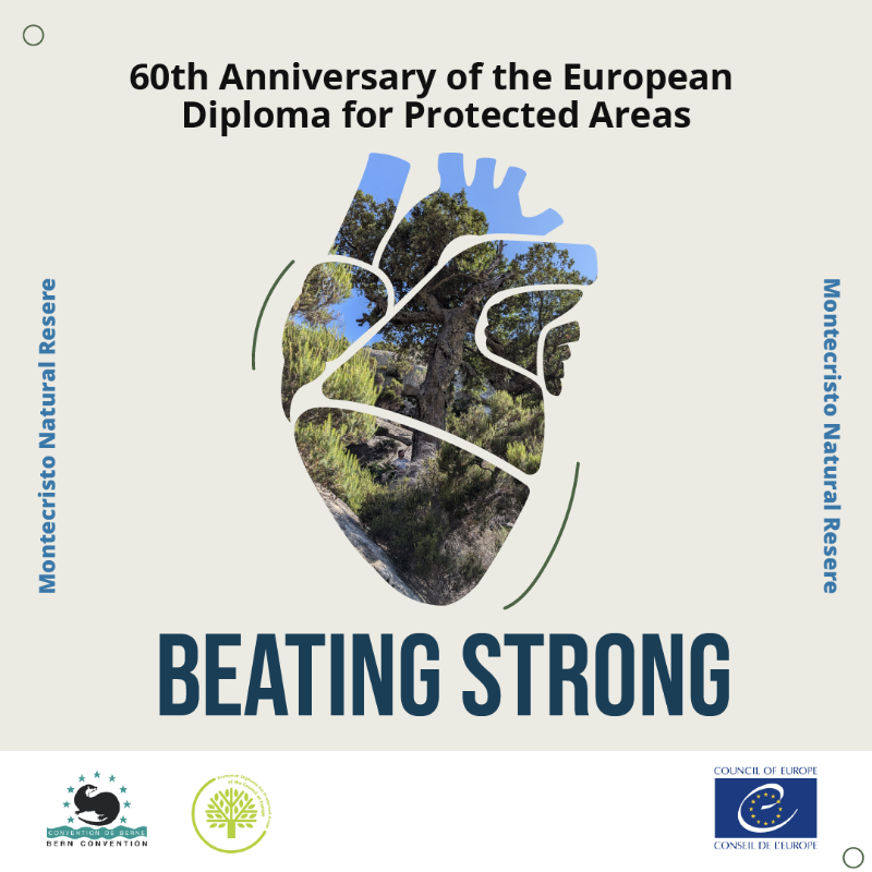 CoE_Environment's tweet photo. Nestled in the Mediterranean, a sanctuary of ancient forests, biodiversity and resilience.
Discover Montecristo Island Nature Reserve, valued holder of the European Diploma for Protected Areas.
United around our values, with nature at heart
#BeatingStrong #NaturalHeartOfEurope