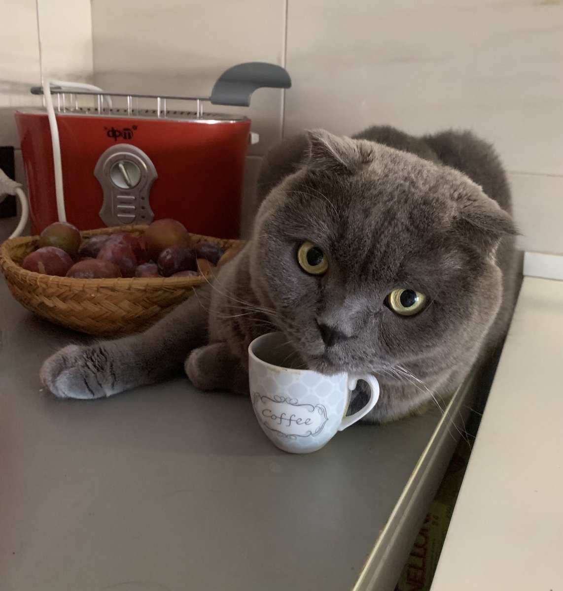 Buongiornissimo kaffè?!