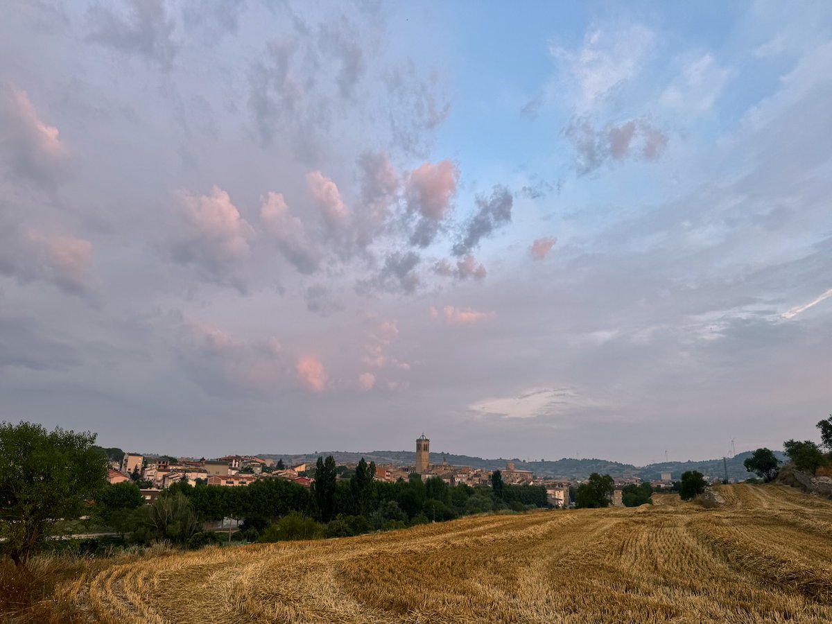 tribusdelasegarra.cat/2025/08/25/bon…
Bon dia
Santa Coloma de Queralt
Baixa Segarra
#segarrejant #goodmorning #Catalonia #magradaelmeupaís <a href="/finslagorra_1/">finslagorra ||*|| SÍ</a> <a href="/jolival65/">JOliva||*||</a> <a href="/montserumbau/">montserrat rumbau</a> @martapontnou <a href="/salvad_m/">RosamSal ||⭐|| 🏴󠁧󠁢󠁥󠁮󠁧󠁿#Jo soc CDR# *CxR*</a> <a href="/jordicodol/">Jordi Còdol Montagut</a> <a href="/betaltarriba/">Bet Altarriba</a> <a href="/mccorominas/">Carme Corominas</a> @xatoQuico <a href="/Ifarre2/">Imma</a> <a href="/CanelaBalsebre/">rosa canela</a> <a href="/mnadal13/">Marta Nadal</a>