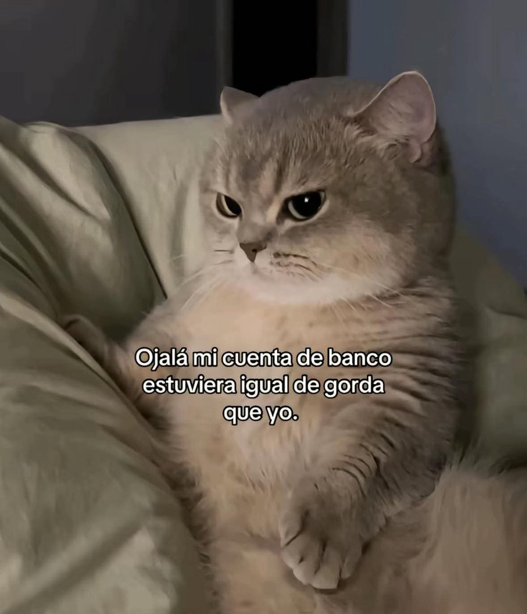 En_jupiter_'s tweet photo. Ojalá. https://t.co/mJCBdf45EX