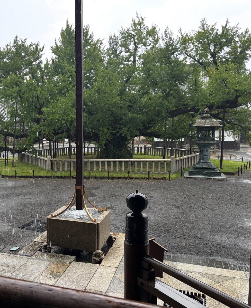 雷雨⛈️ページ 日本語版 DBSW-JP033 The Weather Painter Thunder 雷天気