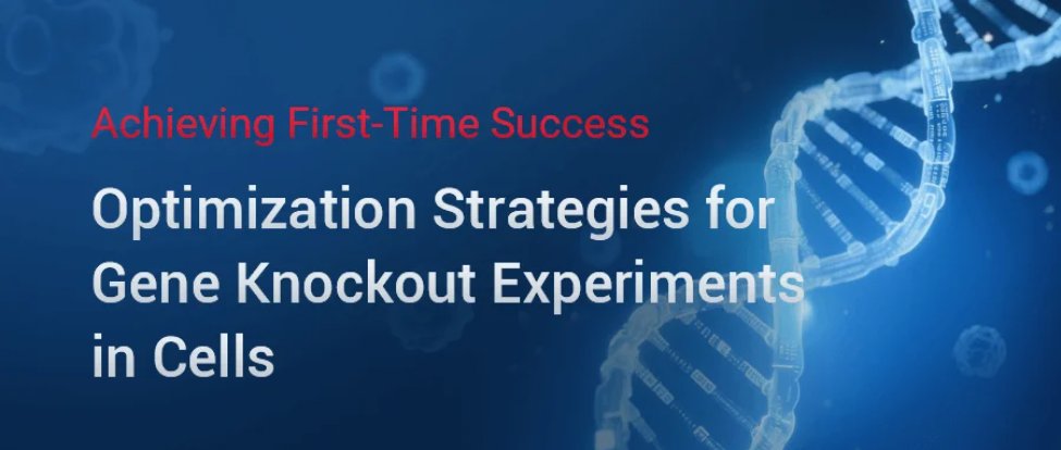 🚀Optimize KO cell workflows! Tips for culture, transfection, antibiotic selection &amp; validation to boost CRISPR efficiency.  👏Enhance reproducibility: ubigene.us/application/kn…
 #CRISPR #KnockoutCells #GeneEditing #science #research #Biology