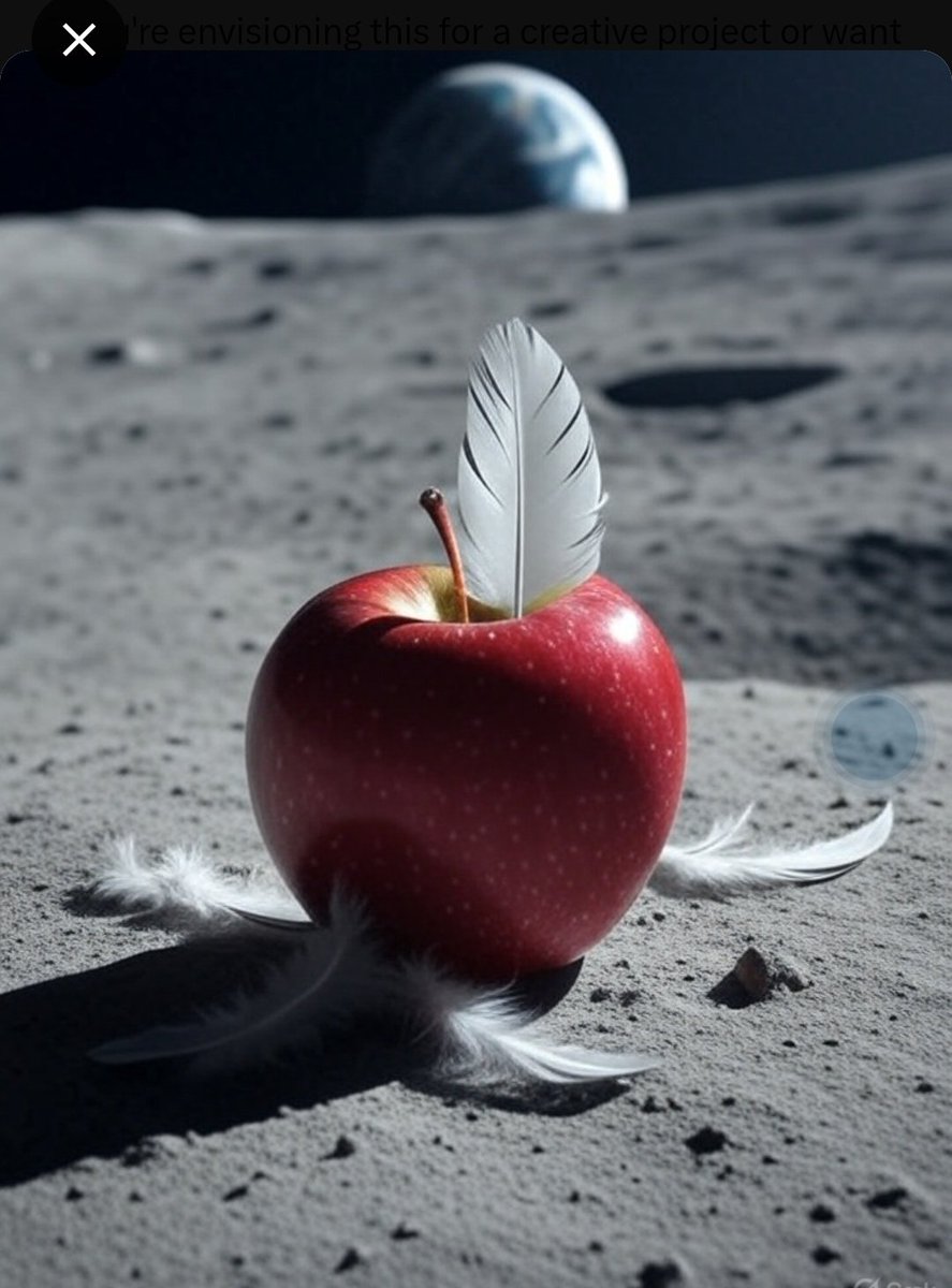 tutor_quiz's tweet image. ✨ Did you know?
If you drop a hammer & a feather on the Moon, they fall together. 🚀🌕
Why? No air resistance!
Physics isn’t just formulas—it’s how the universe actually works.
#Physics #Science