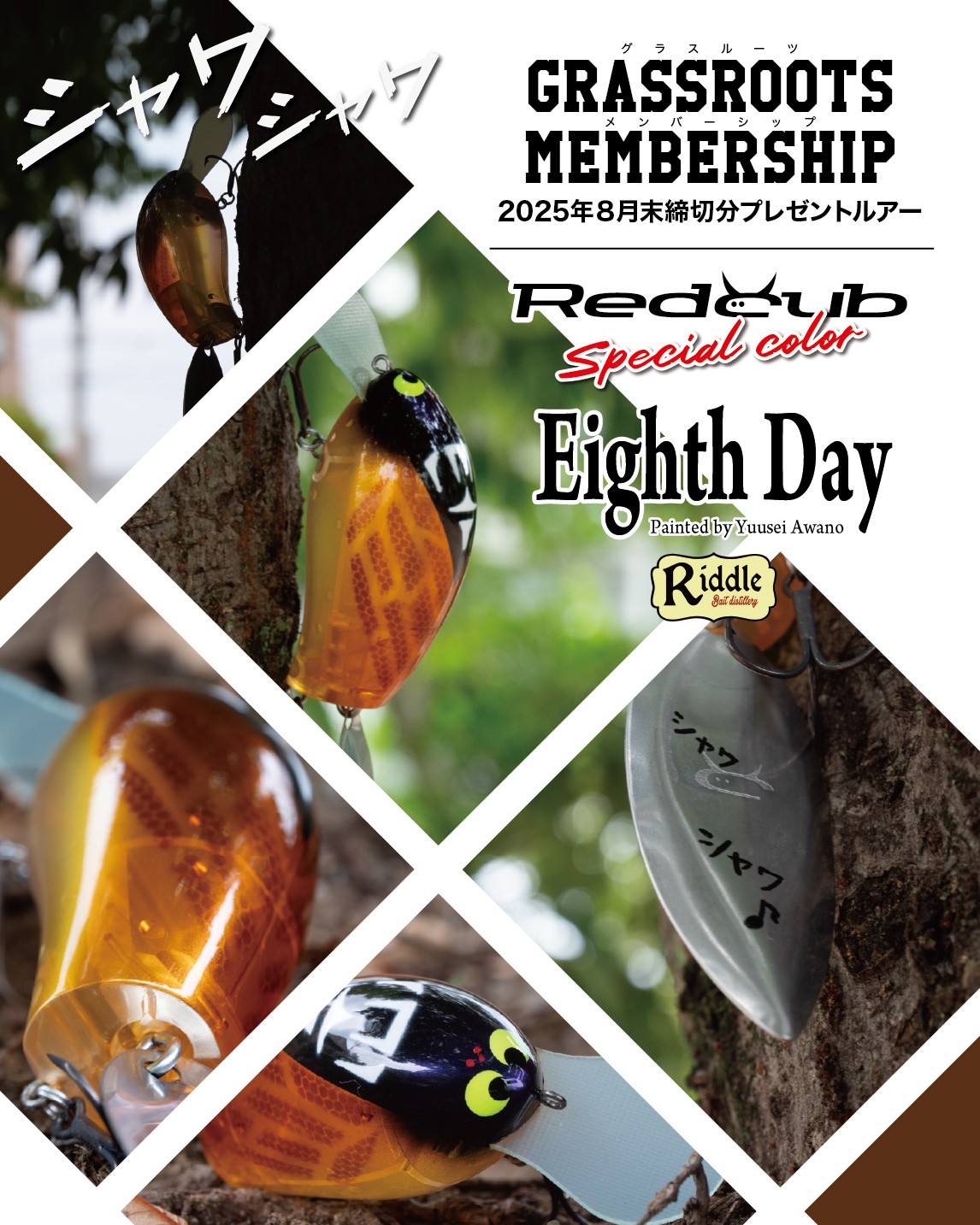 限定 グラスルーツ レッドカブ リドルベイツ Riddle baits MPB 限定 グラスルーツ レッドカブ リドルベイツ Riddle baits MPB