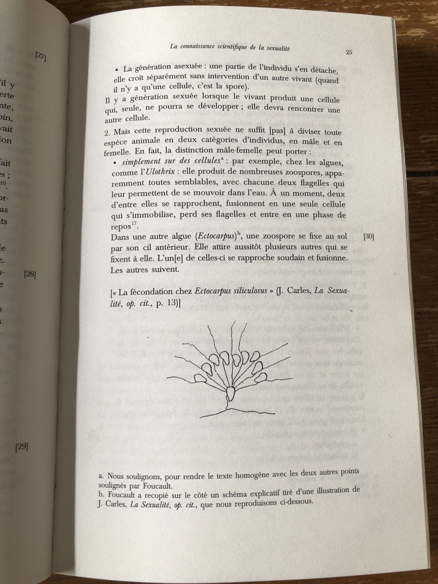 フーコーのセクシュアリティ研究は生物的な水準を無視しているという見方があるけど、あれこれ資料を見ているとそうでもない。セクシュアリティを主題とする1964年のクレルモン=フェラン大学講義だと藻類の雌雄同型配偶子による繁殖の話をしていたりする。『言葉と物』の著者だから当然といえば当然。