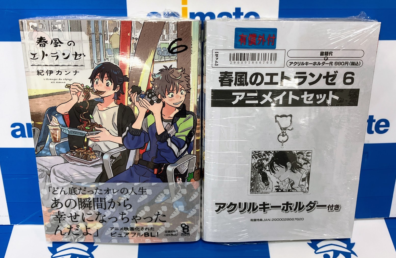 商業BL まとめ売り 25冊セット アニメイトなど　特典ファイル付き 商業BL まとめ売り 25冊セット アニメイトなど 特典ファイル付き