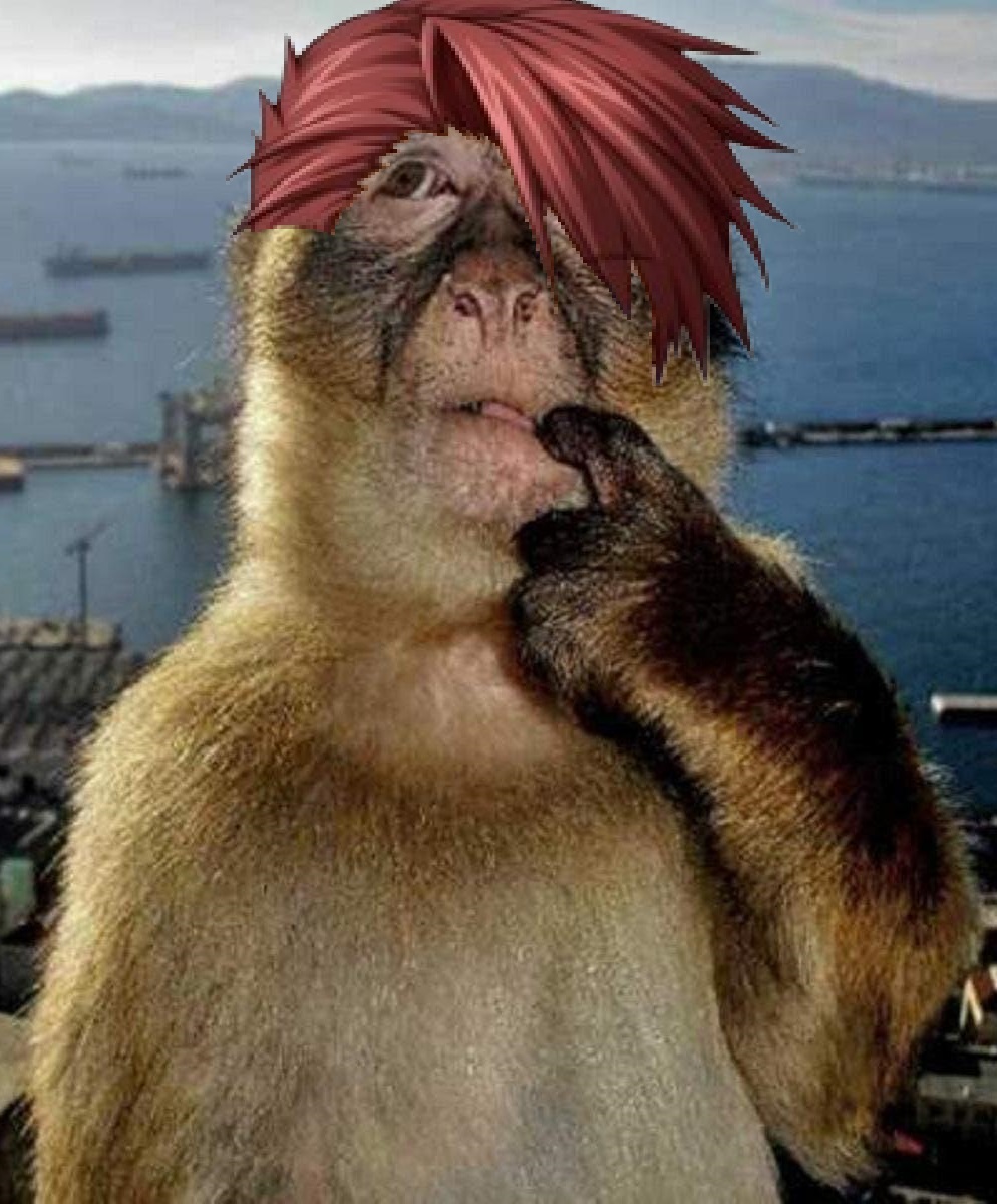 clueless... (@janudestr) on Twitter photo 