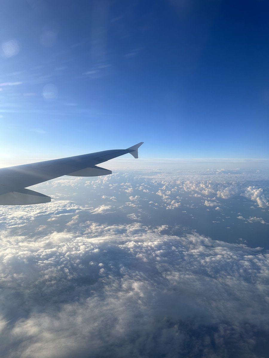 Long-haul flyers, what’s your go-to survival item on flights? 🌍✈️