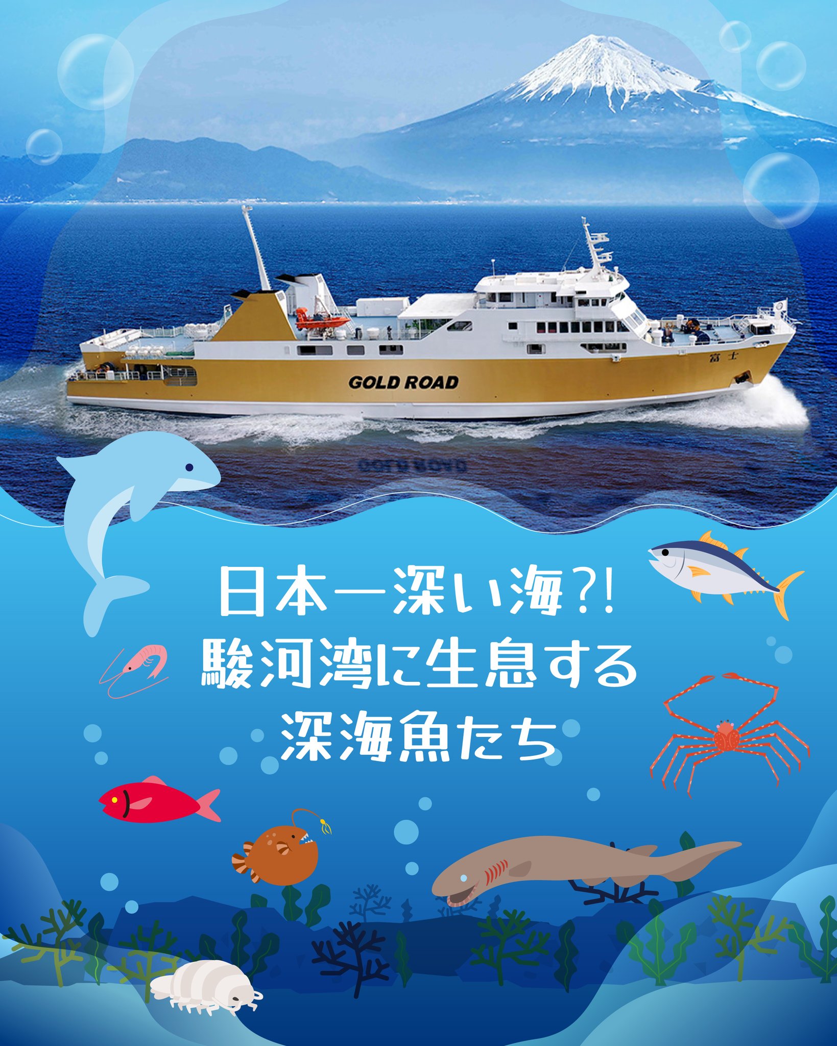 ふじさん駿河湾フェリー【公式】 on X: 