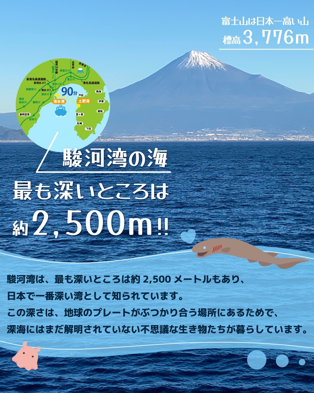 ふじさん駿河湾フェリー【公式】 on X: 