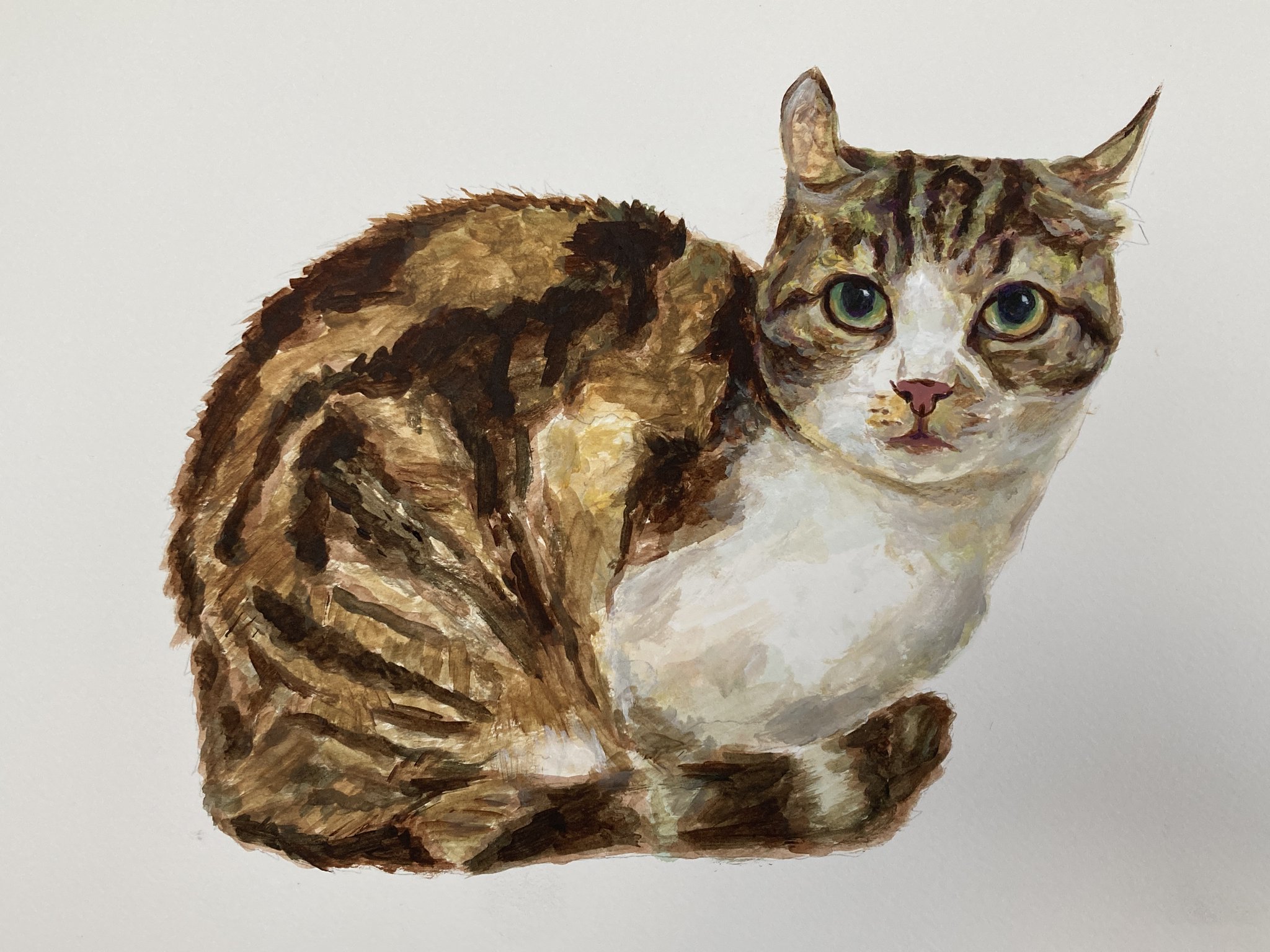 猫絵V.Miller 猫絵V.Miller