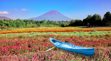 【ニュース】　富士本栖湖リゾート、富士山麓を秋色に染め上げるフラワーイベント「虹の花まつり 2025」を8月30日より開催　山梨県富士河口湖町
yutosoken.com/wp/2025/08/25/…