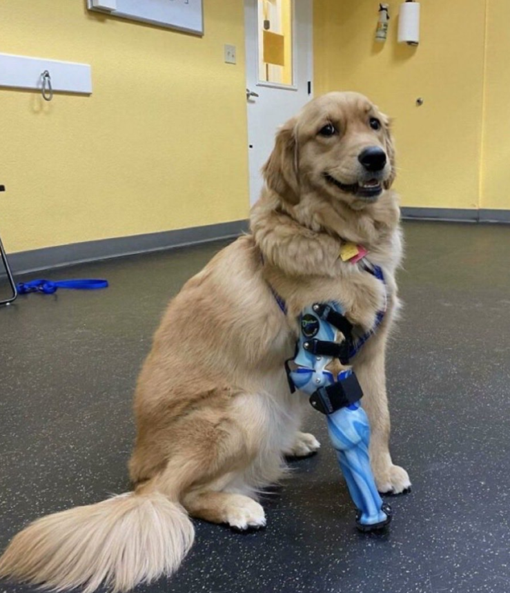 Please don’t pass without leaving a heart ❤️