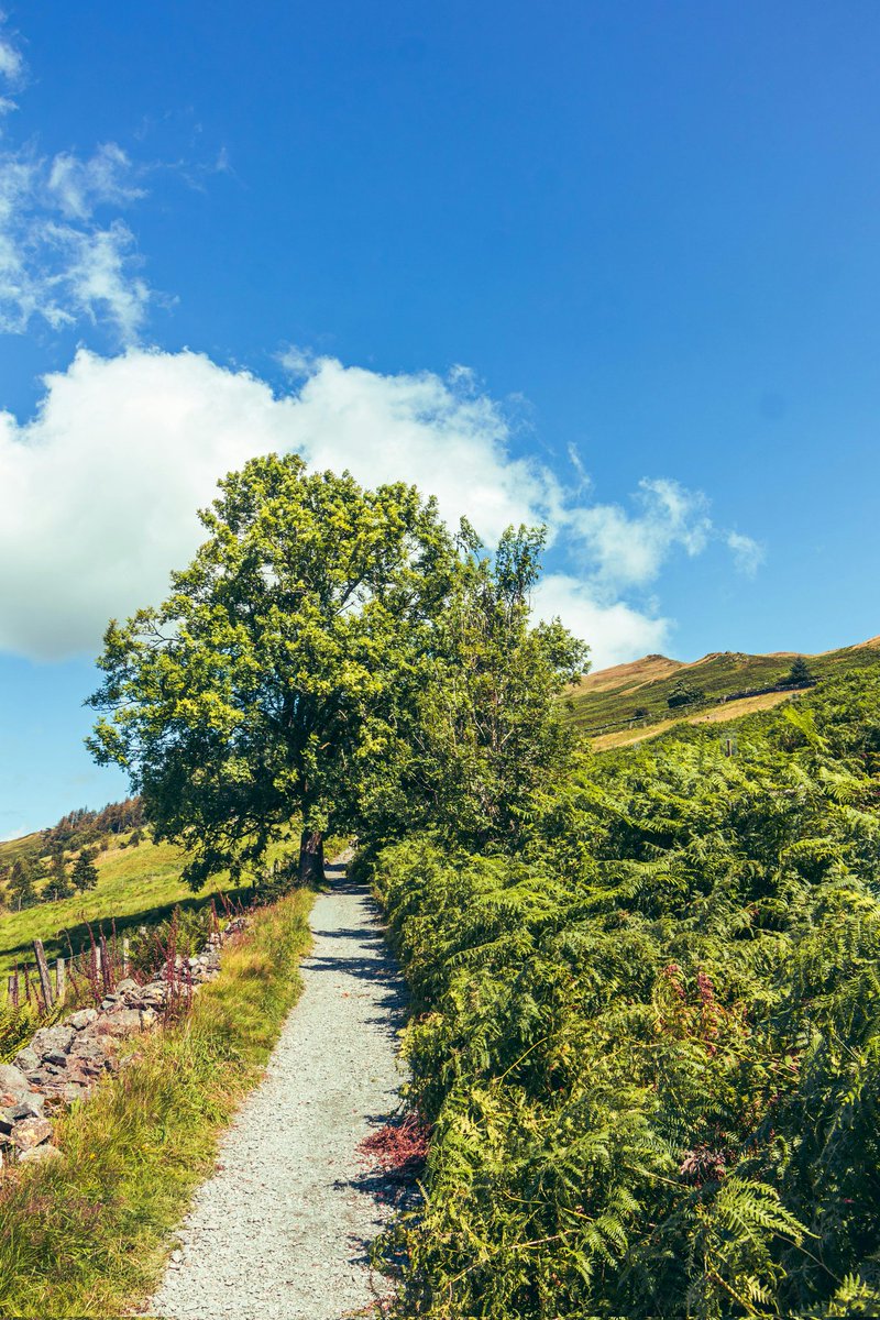 Good Monday. #MondayVibes