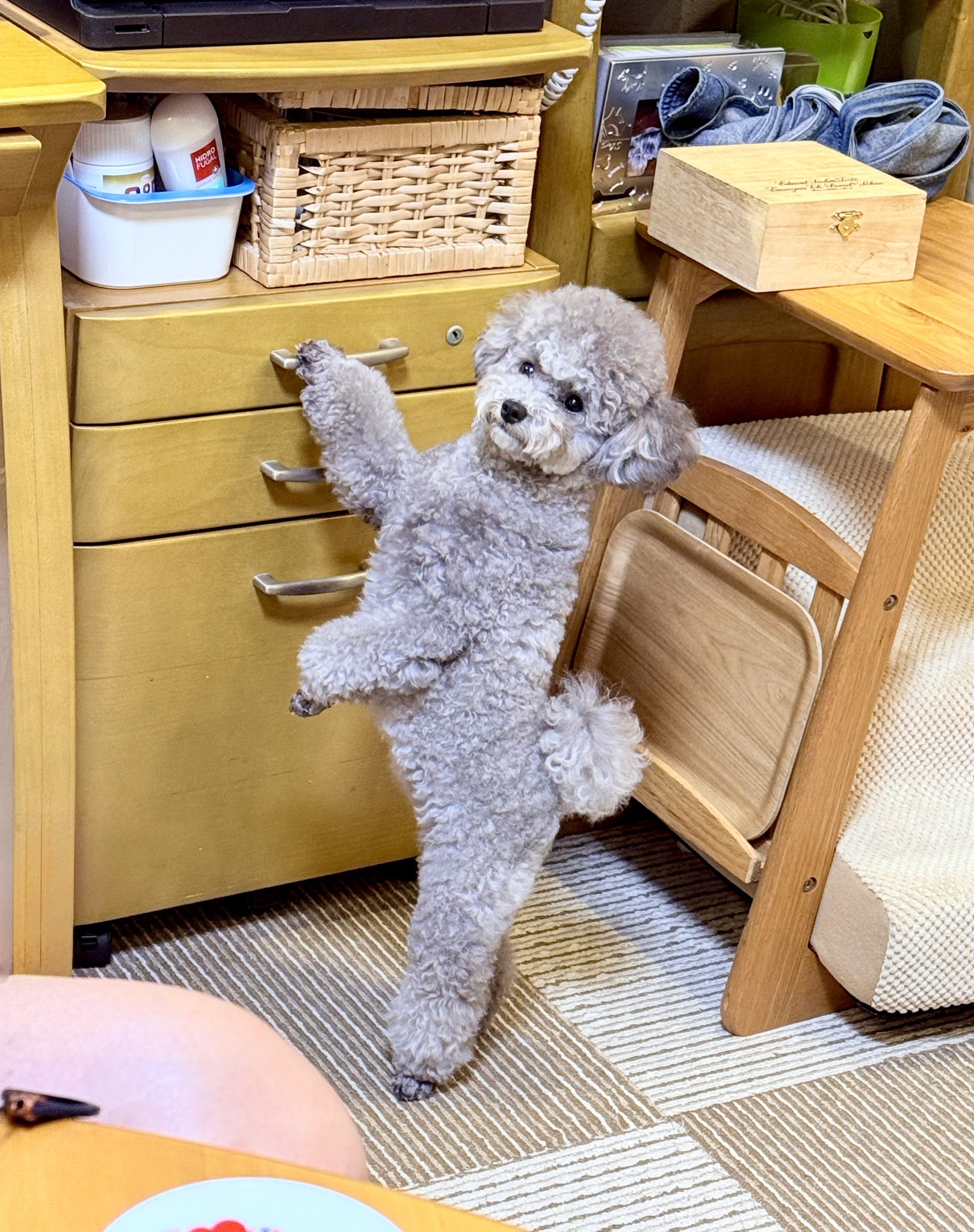 エマです！ on X: 