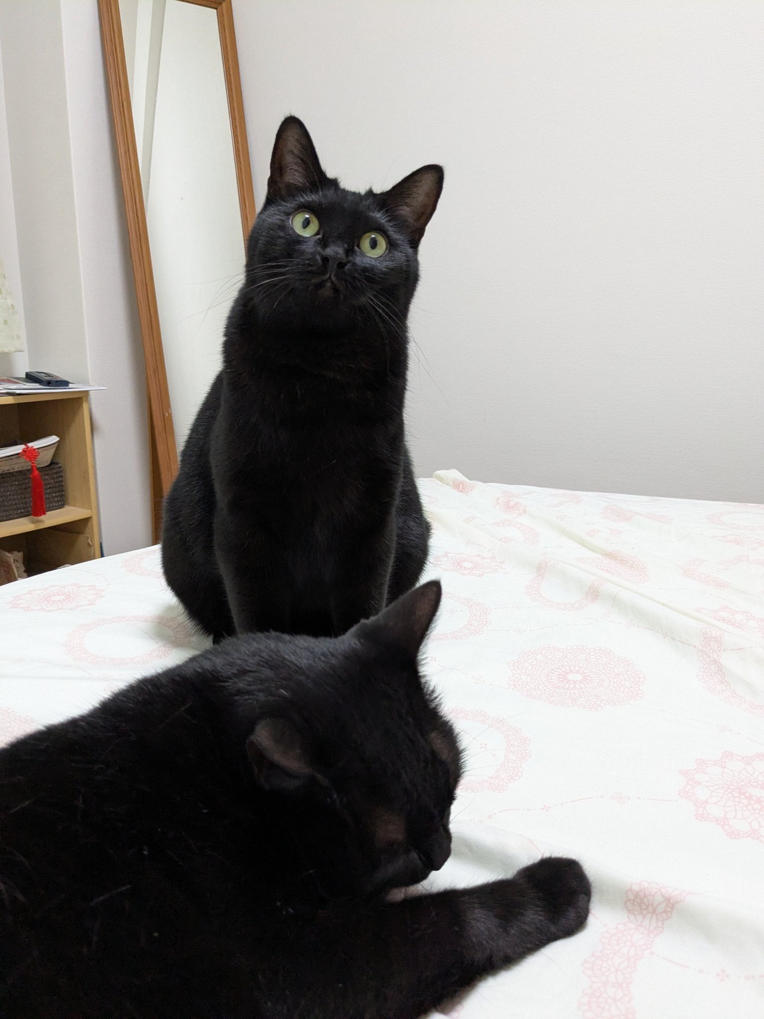 くろねこページ 鉄(三価クロメート黒色) ＋なべ小ねじ シリコンワッシャー付 F
