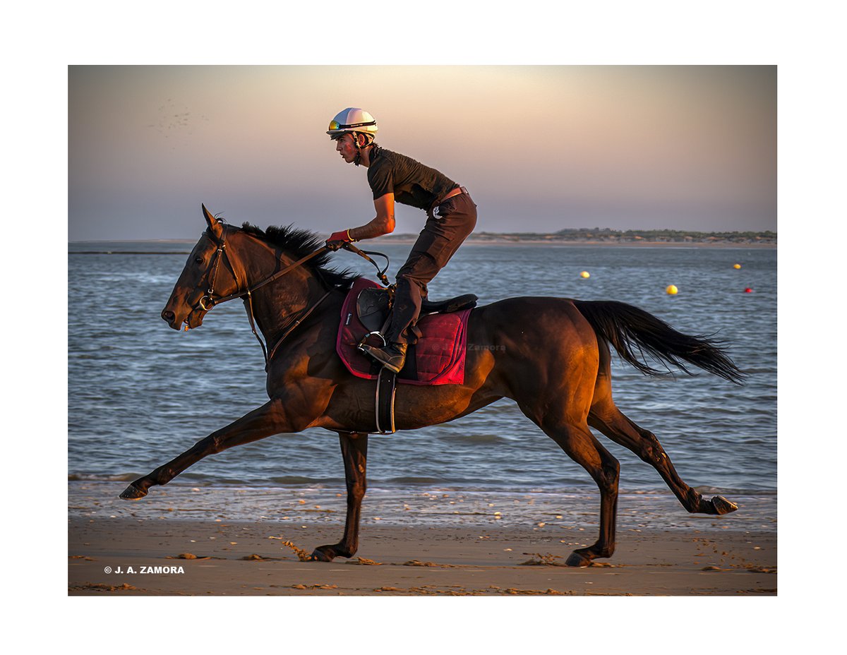 j_a_zamora_foto's tweet image. Miradas.
!Qué maravilla!
Sanlúcar de Barrameda.
#leicaq2