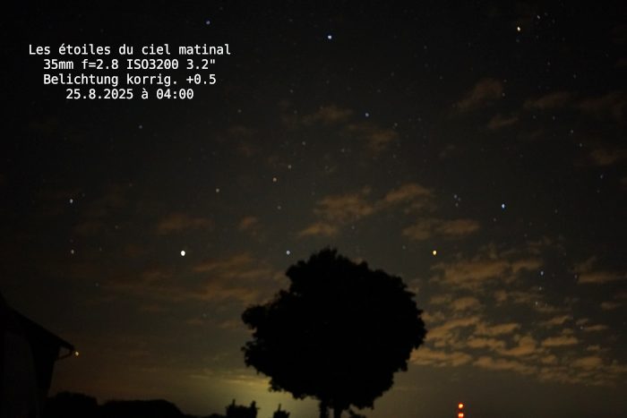 wwpresent's tweet image. Les étoiles du ciel matinal à la première lumière du jour. Après la prise, la photo a été soumise à une "améliorisation de l'exposition" électronique offerte par mon programme d'édition d'images. Cela rend l'image un peu plus lumineuse sans perdre les contrastes naturels.