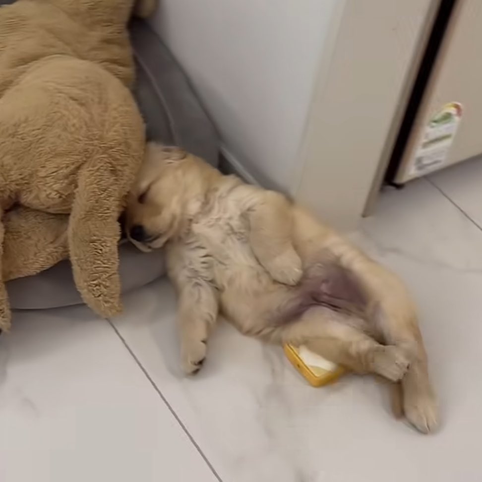 เปนม๋าก้เหน่ยเหมือนกันวุ่ย