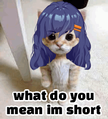 Jinny Goofster 👀🪄 Dark Wizard VTuber tweet media