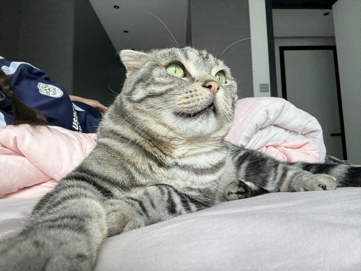 福利姬钢本娘子分享的黄推图片2 - 网红私拍内容