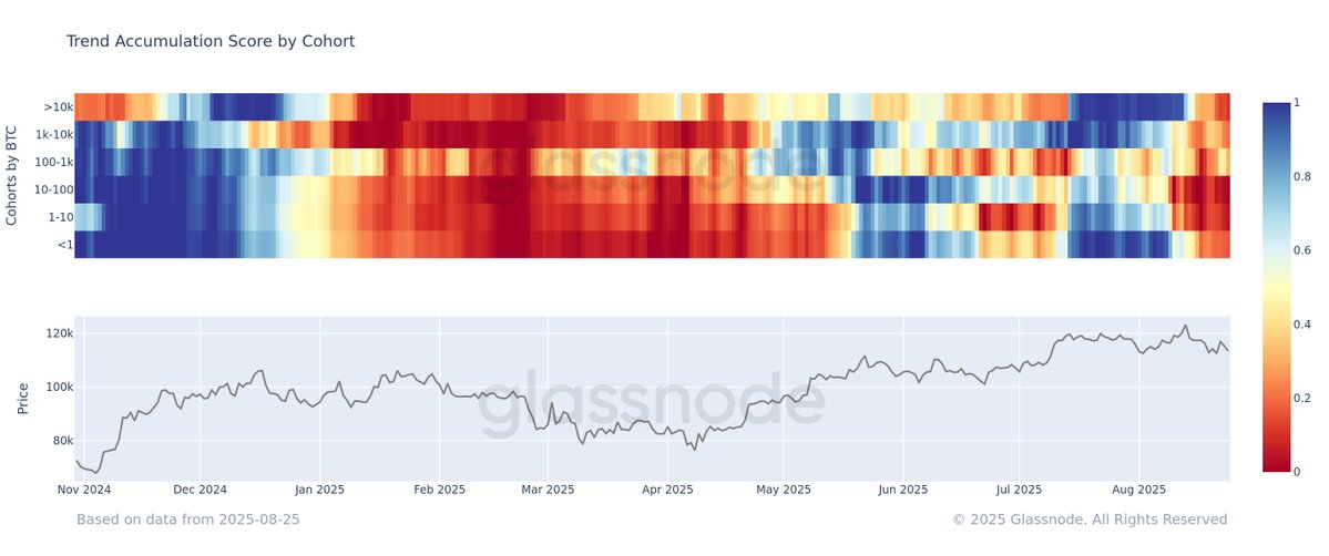 ⛓️💥GLASSNODE: "Pressione di Vendita nel Mercato Bitcoin: Tutti i Gruppi Iniziano a Distribuire"