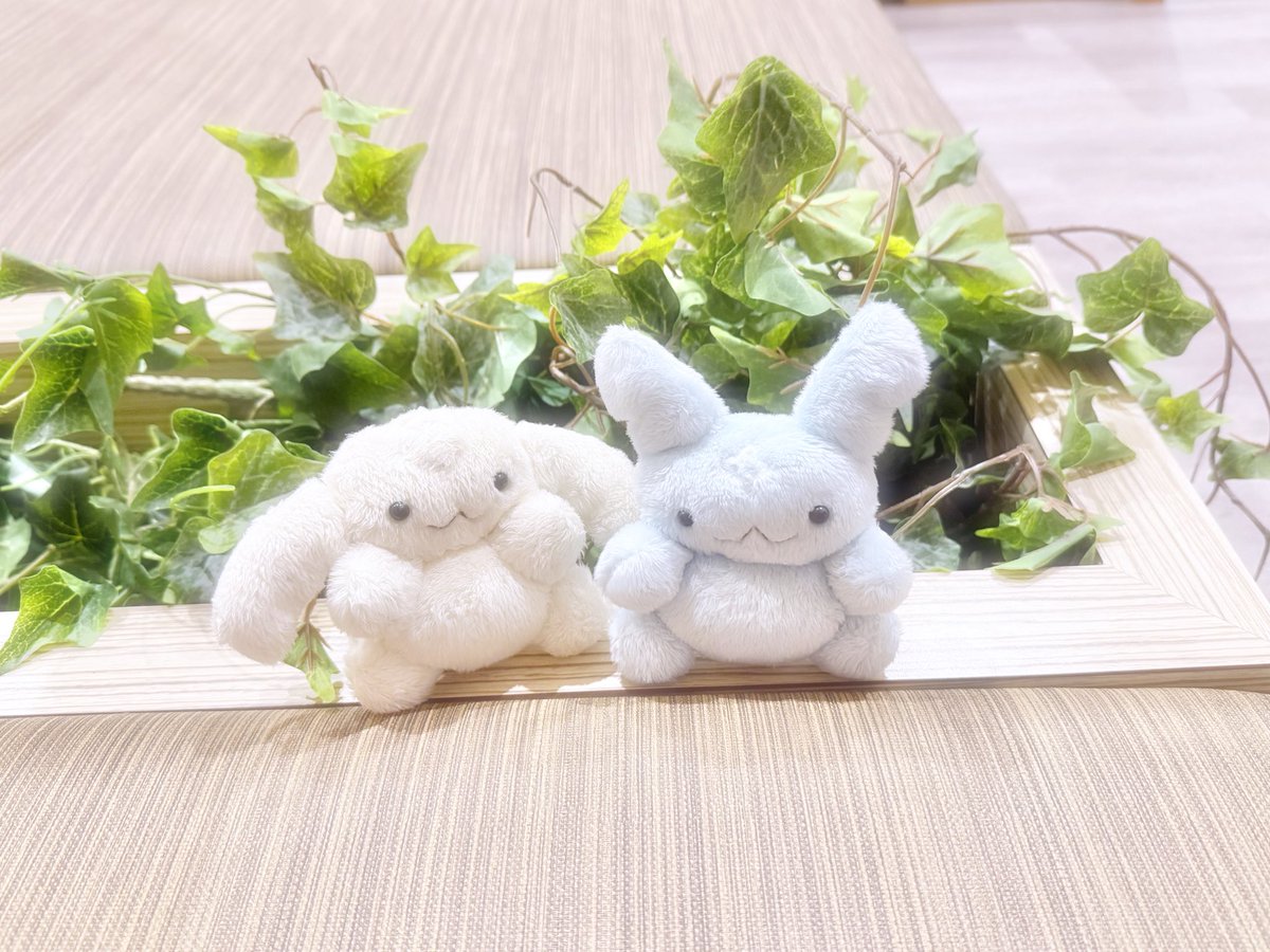 ⡤⠒⢤⡀⠀⠀⠀⠀⠀⠀⠀⠀⠀⠀⠀⠀⠀⠀⢀⡤⠒⢤
⢣⡀⠀⠉⠲⢤⣀⡀⠀⠀⠀⠀⠀⠀⢀⣀⡤⠖⠉⠀⢀⡜
⢸⡉⠒⠄⠀⠀⠀⢉⡙⢢⠀⠀⡔⢋⡉⠀⠀⠀⠠⠒⢉⡇
⠀⠉⢖⠒⠀⠀⠀⣇⠀⣸⠀⠀⣇⠀⣸⠀⠀⠀⠒⡲⠉⠀
⠀⠀⠀⠉⠙⠫⠤⠚⠉⠀⠀⠀⠀⠉⠓⠤⠝⠋⠉⠀⠀⠀

 ⋆⭒˚.⋆🪐 ⋆ ⭒˚.⋆🪐 ⋆⭒˚.⋆🪐 ⋆⭒˚.⋆