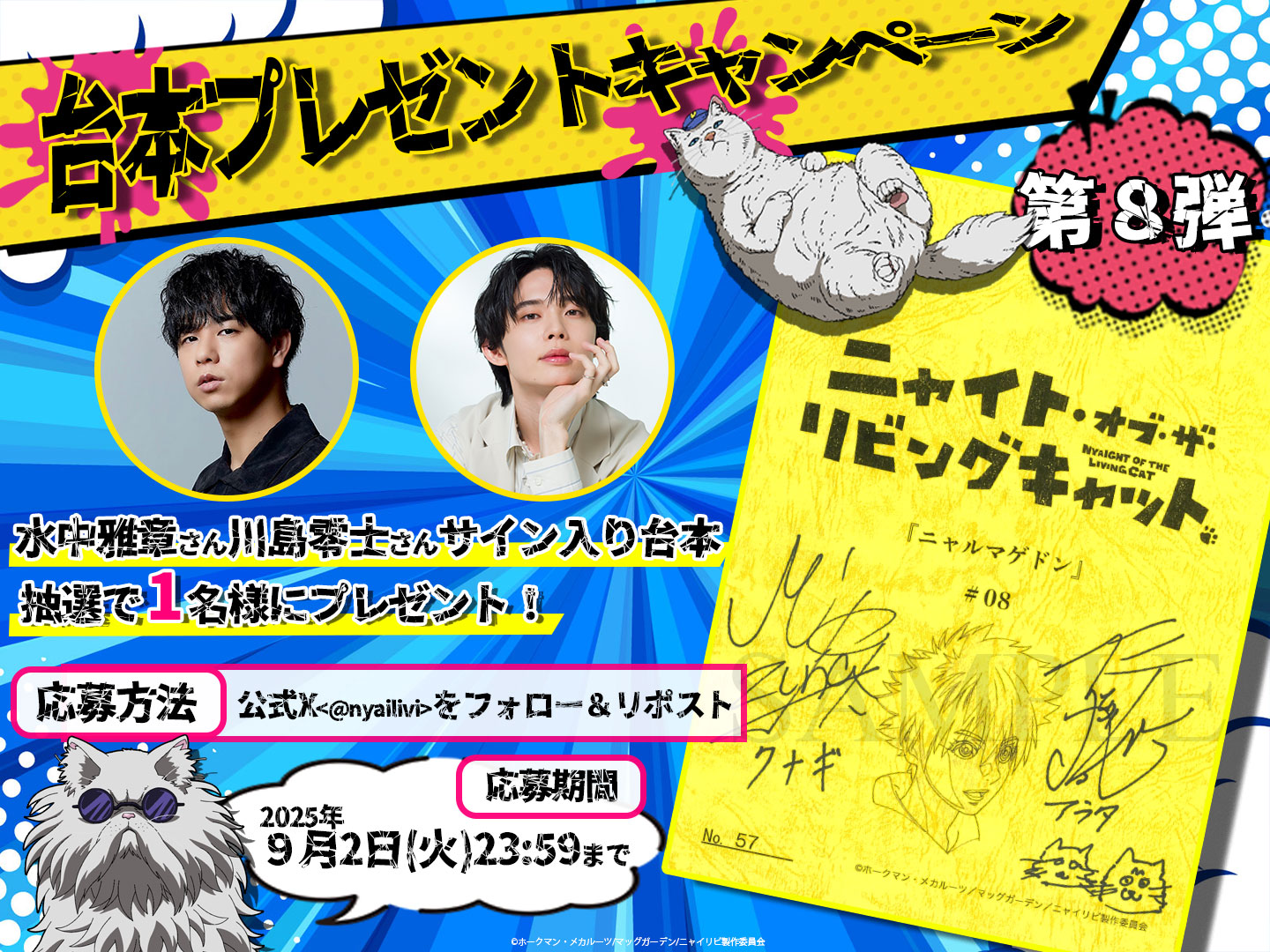 連続テレビ小説 『私の青空』 サイン入り台本 ハガキ１枚セット 連続テレビ小説 『私の青空』 サイン入り台本 ハガキ1枚セット