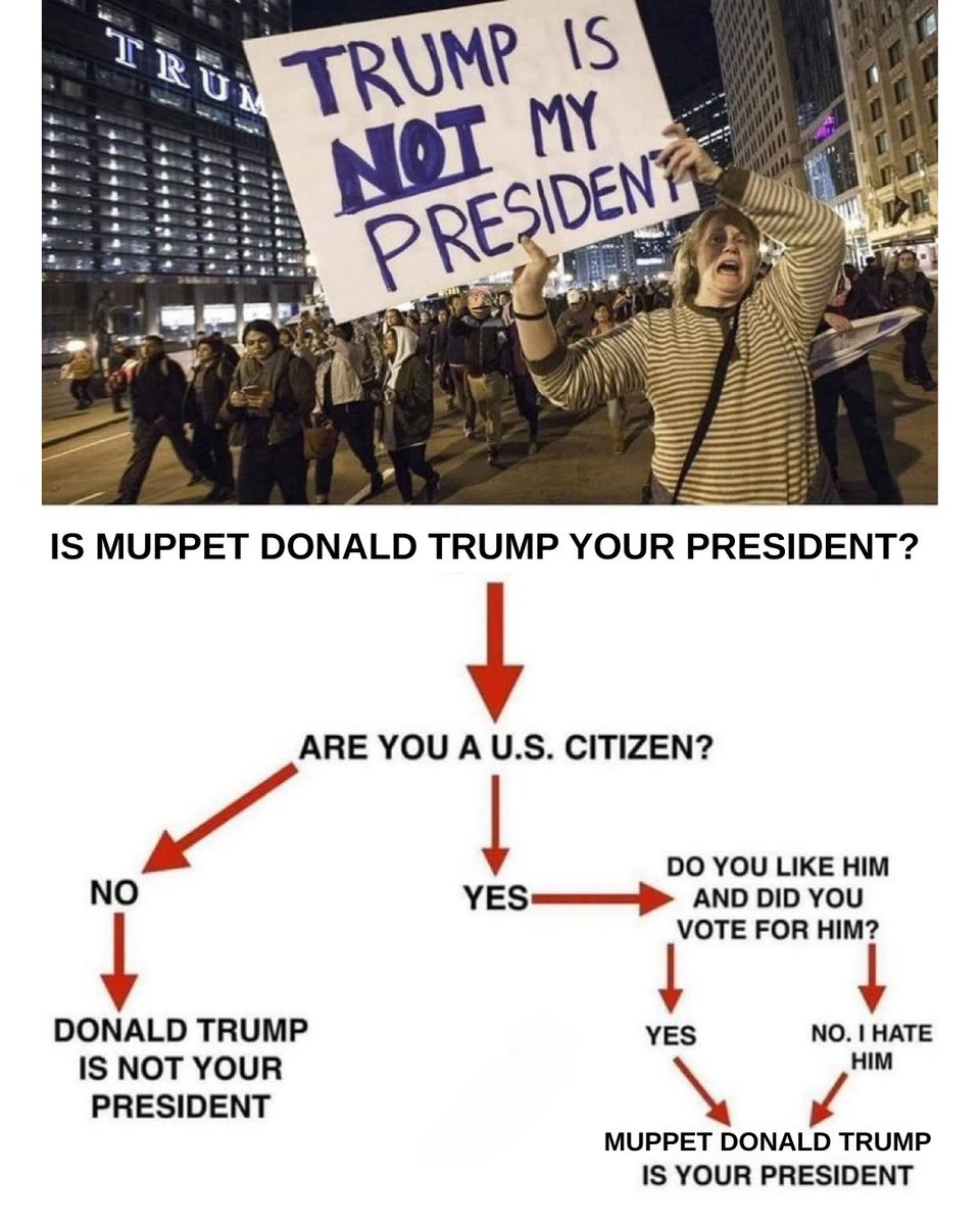 MUPPETTRUMPCOIN's tweet image. Cry more lib 🤣🤣🤣

#trump #muppettrumpcoin #SolanaMemeCoins #muppet #maga #Trending #viral #memecoin #bitcoin #Cryptotwitter #CryptoTrends #crypto