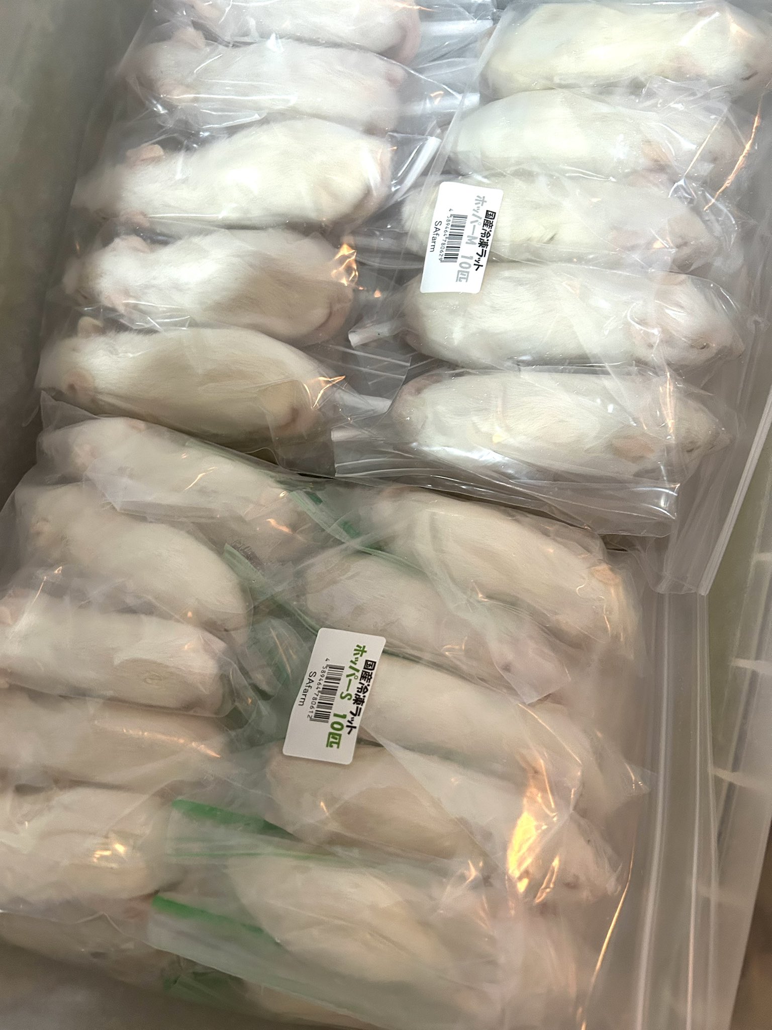 即購入OK！】国産冷凍マウスアダルトLL40匹入@地域限定 冷凍