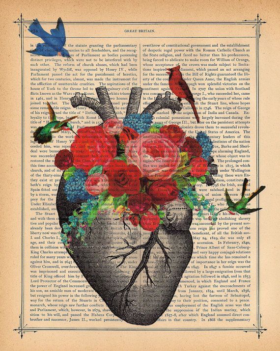 𝑻𝒉𝒆 𝒉𝒆𝒂𝒓𝒕 𝒘𝒂𝒔 𝒎𝒂𝒅𝒆 𝒕𝒐 𝒃𝒆 𝒃𝒓𝒐𝒌𝒆𝒏.
         - 𝘖𝘴𝘤𝘢𝘳 𝘞𝘪𝘭𝘥𝘦