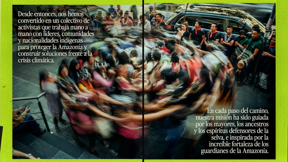 AFrontlines_ES's tweet photo. 🌿 Celebramos más de una década de resistencia, resiliencia y victorias por la #SelvaAmazónica.
A lo largo del Alto Amazonas, desde el corazón de Ecuador hasta Perú y Colombia, #AmazonFrontlines y @AlianzaCeibo se unen con las comunidades indígenas para proteger la selva, a sus defensores y garantizar la supervivencia cultural. Desde llevar agua limpia a comunidades envenenadas por la extracción petrolera hasta detener proyectos destructivos, hemos logrado grandes victorias para los derechos humanos, la selva y nuestro clima. ✊🏽💚
Nos guían los mayores, los ancestros y las historias del bosque.
Nos inspira el coraje de defensores, jóvenes, narradores y guardianes de la tierra.
Estamos comprometidos a honrar a quienes han perdido la vida por esta causa, y decididos a llevar nuestra misión colectiva hacia adelante con resiliencia y esperanza.