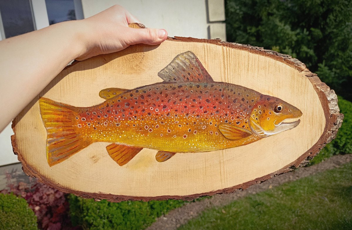 lo and behold

my fish on wood