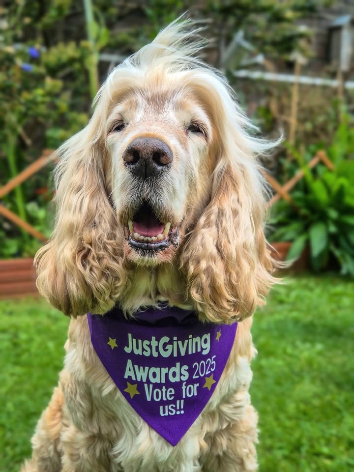 JustGiving's tweet image. 🐾 Reminder from #JGAwards finalist Albert!

Voting closes this Sunday, 31st August. Don’t miss your chance to support your favourite fundraisers 💙

Vote here: just.ly/3xBJPTo

@HearingDogs @321SaZ123