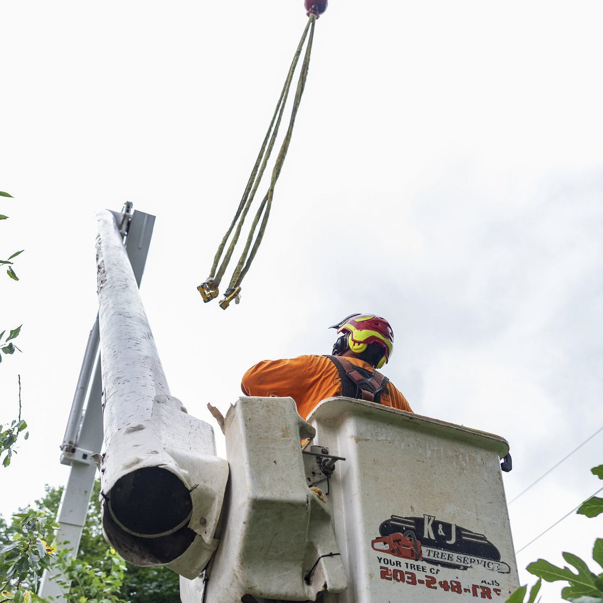 KJTreeService's tweet image. Happy Monday🫡🫡 Start your week off right by giving us a call at 203-248-8733 !!
-
-
-
#KJTreeService #CTTreeService #treeservice #arborist #treeremoval #treecare #treework #treelife #treeclimber #chainsaw #treetrimming #stumpgrinding #stumpgrinder #CTtrees #ConnecticutTrees…