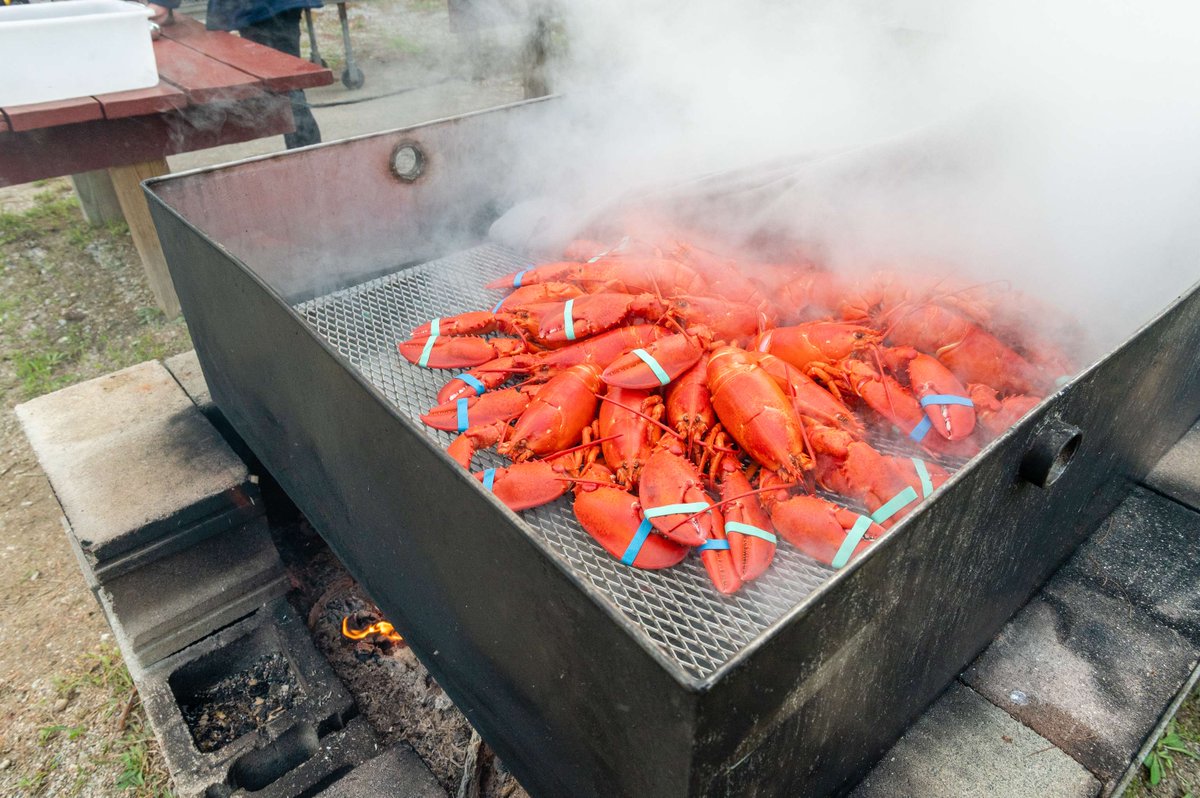 PuritySpring's tweet image. THIS THURSDAY is our LAST Lobster Cookout of the Summer, so make sure to reserve in advance by calling (603) 367-8896! Full menu 👉purityspring.com/dine/ #Lobster #Cookout #Yum 🦞🍽️🥗