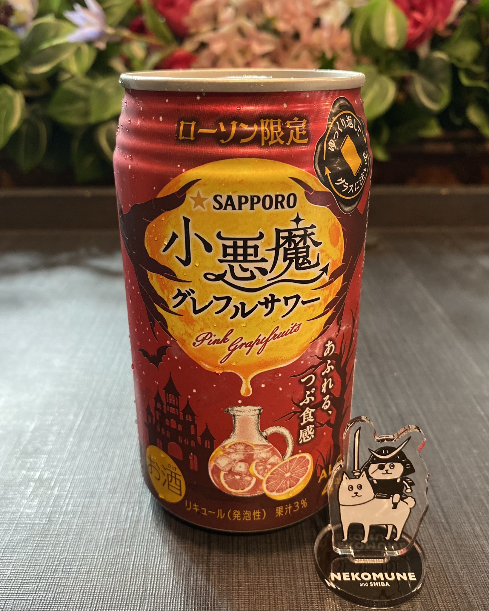シアン　アクカ　　終ヴィル　オトパ　ラーメン オトパ ラーメン 終遠のヴィルシュ 終ヴィル アンクゥ Nintendo