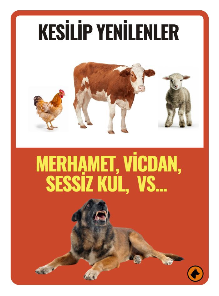 FaTuRa (@fatura014680) on Twitter photo <a href="/TrabzonBelTr/">Trabzon Büyükşehir Belediyesi</a> Koyunların kecilerin ineklerin tavukların yasal hakları hakkında ne gibi calısmalarınız var ❓
#SıfırBaşıboşİt
#SıfırBaşıboşKedi <a href="/TrabzonBelTr/">Trabzon Büyükşehir Belediyesi</a> Koyunların kecilerin ineklerin tavukların yasal hakları hakkında ne gibi calısmalarınız var ❓
#SıfırBaşıboşİt
#SıfırBaşıboşKedi