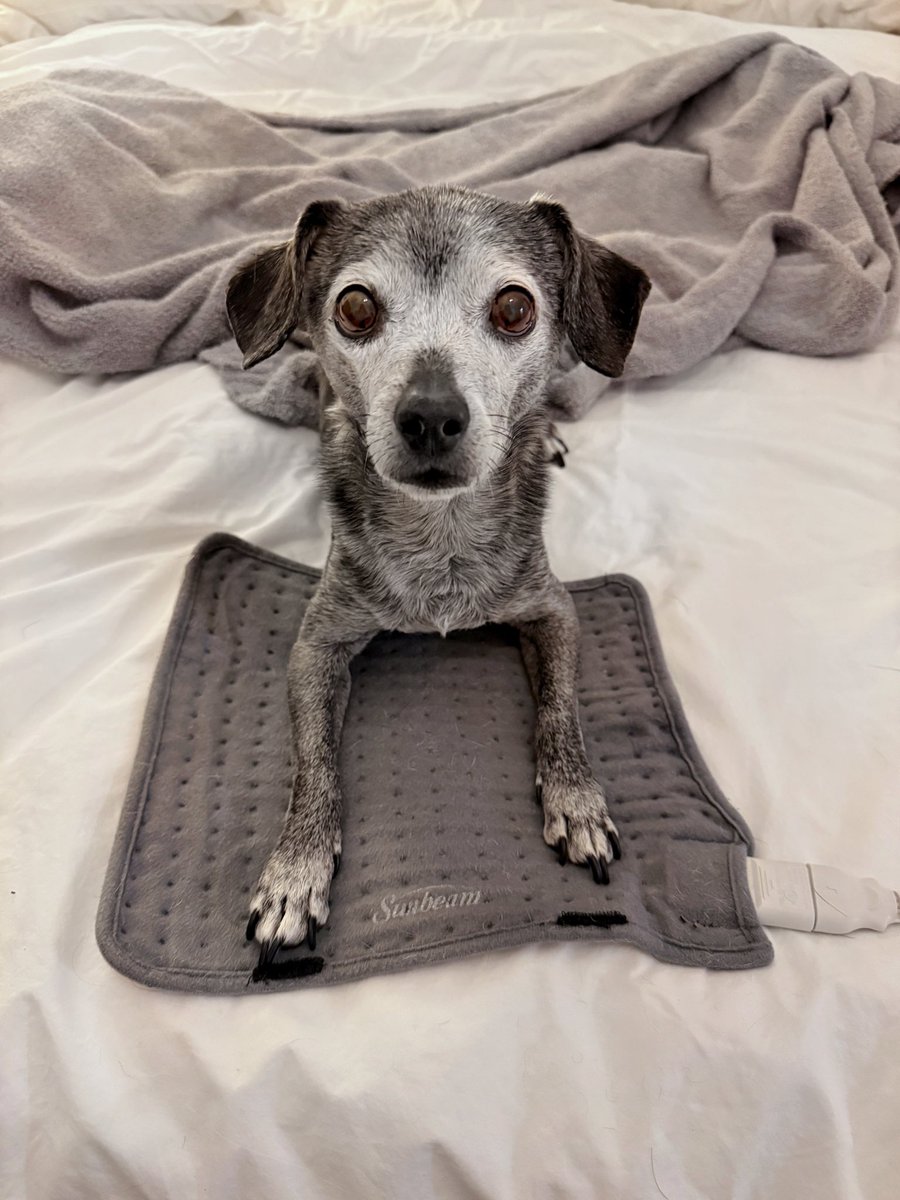 not sure what to tell you. this hot square is mine now. i believe it falls under the “finders keepers” rule. good day.