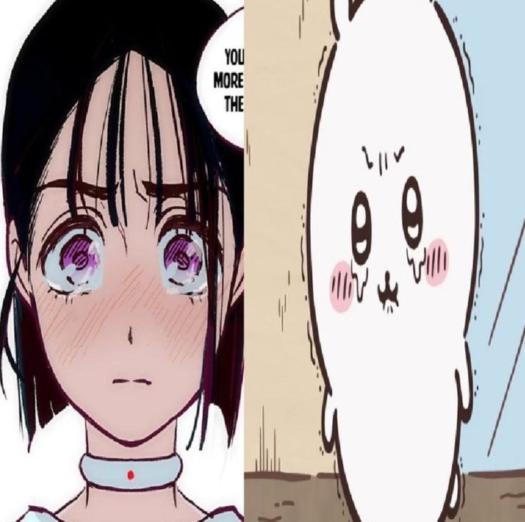 ୨୧￤ 𝐀𝐍𝐀 ഒ·° tweet media