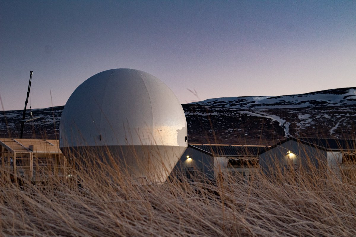 Leaf Space tweet media