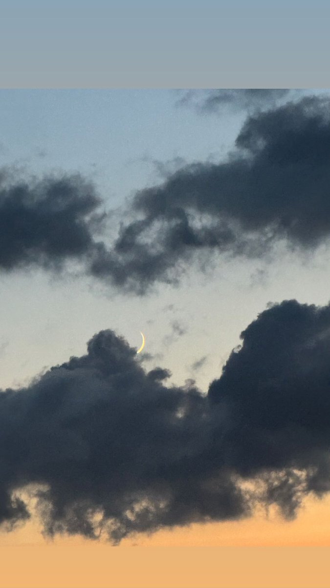 250825 • Han Hyojoo via Instagram Story

#HanHyoJoo #한효주 #ハン・ヒョジュ