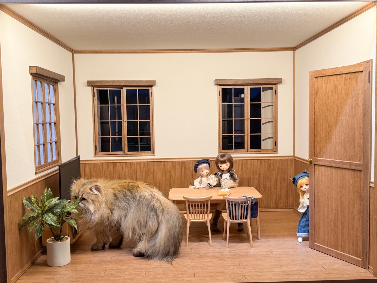 corner33333's tweet image. さいこう🥹🙏✨
 #プティドゥカンティーニュ