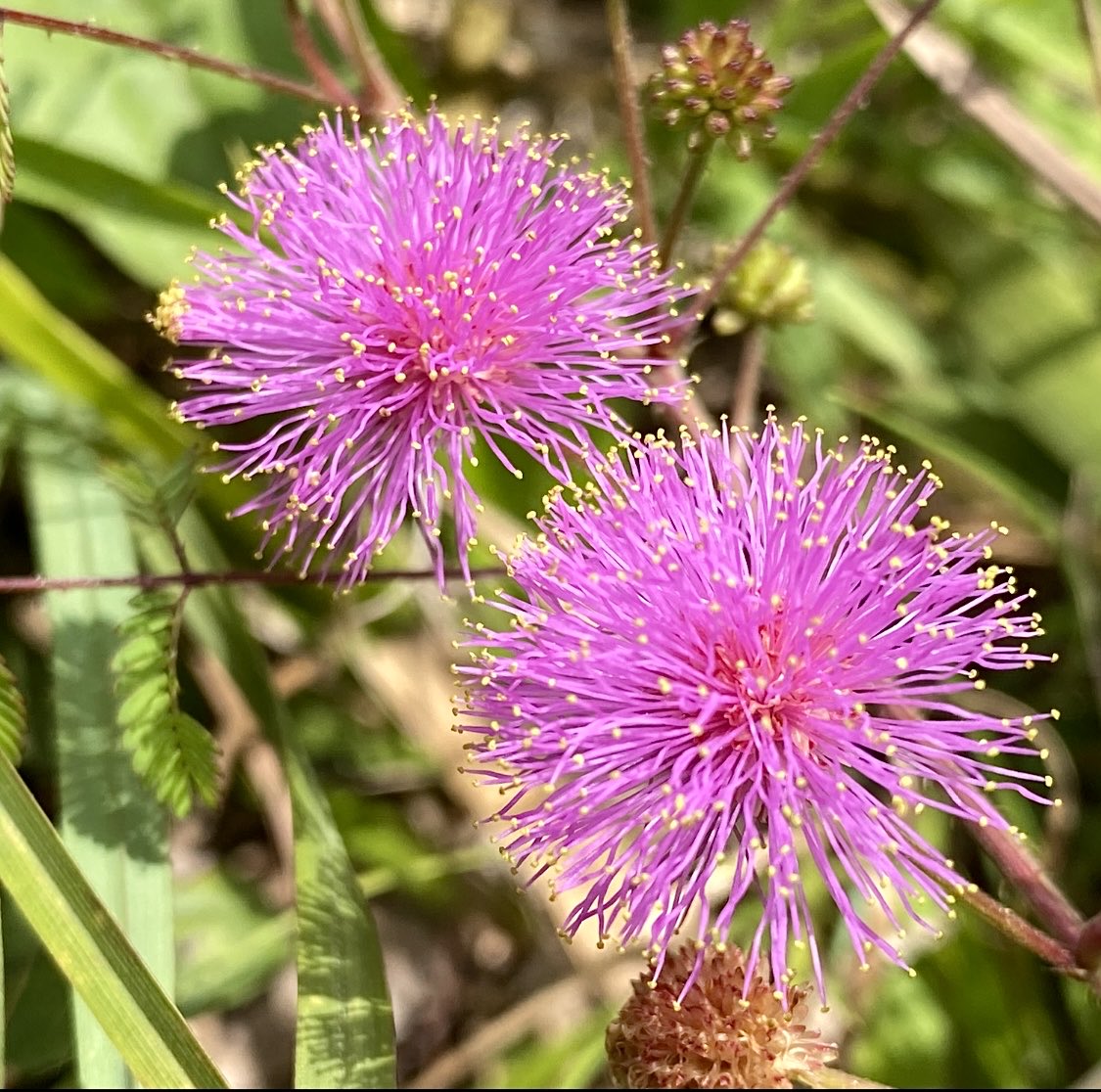 Suzy Starnes tweet media